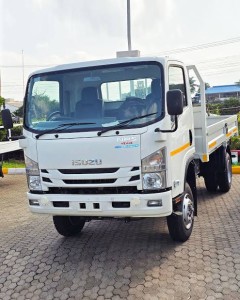 NPS81H TRUCK